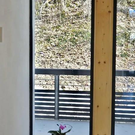 Gaestehaus Am Riedweg アパート ガルミッシュ・パルテンキルヒェン